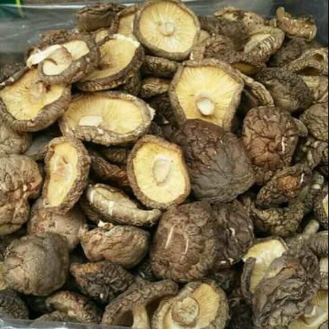 GÓI 500G Nấm đông cô ngon, bổ, rẻ, chất lượng, sỉ, dạo, ăn vặt, ăn liền, ăn là ghiền, combo, mứt, tết, nhà làm, nguyên liệu, nấu ăn, làm bánh
