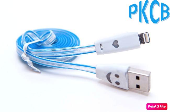 Cáp sạc iphone đèn led dạ quang - pkcb