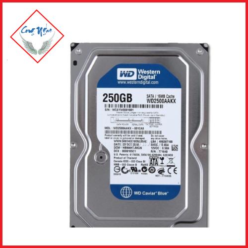 Ổ CỨNG HDD WD 250GB,500GB