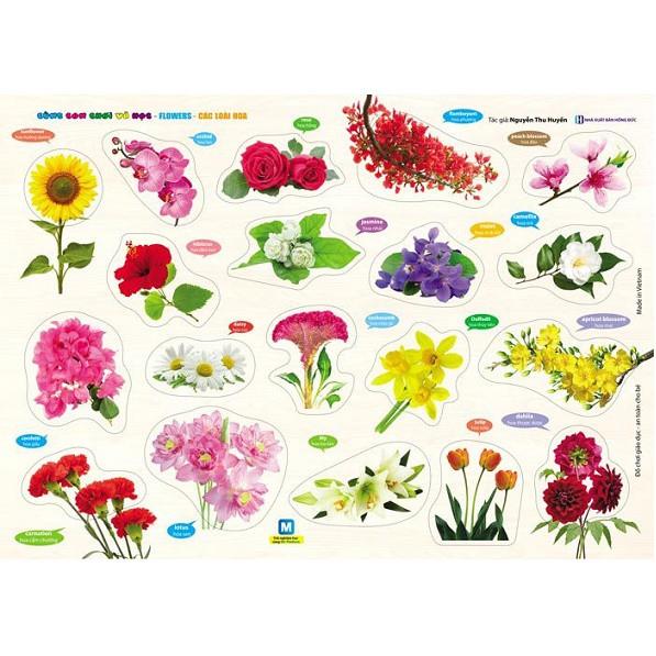 Bảng gỗ núm nhựa cùng con chơi và học - các loài hoa - flowers