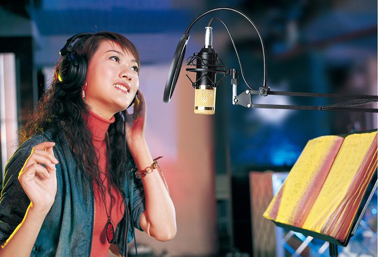 Combo mic thu âm hát online bm800