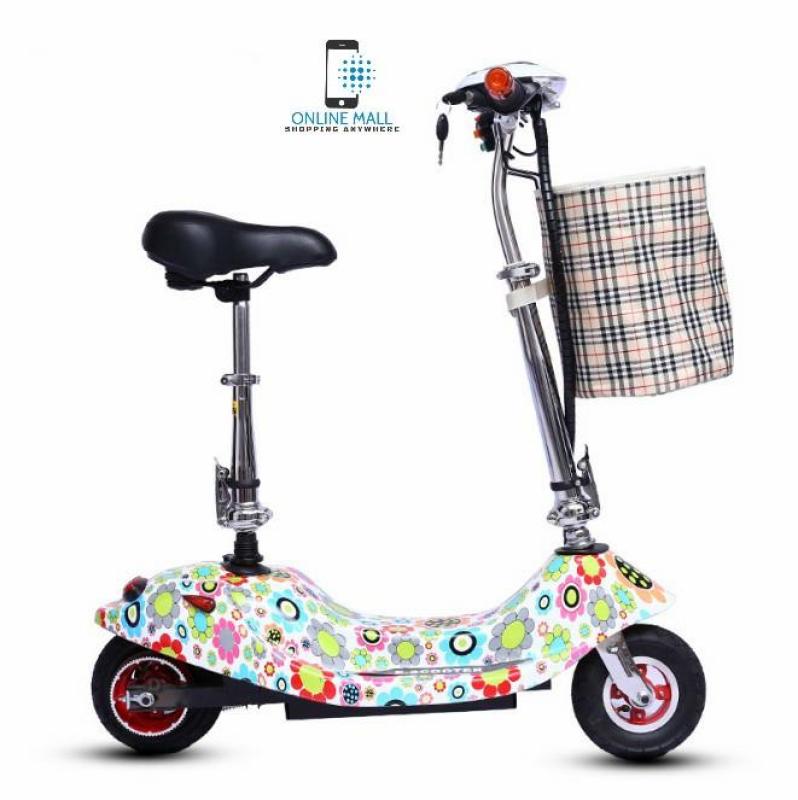Giá bán Xe scooter điện 24V tải trọng 120kg (có giỏ xách) Sun Flower