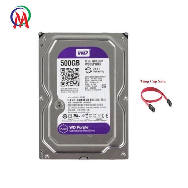 [HCM][Bảo hành 24 tháng] Ổ cứng máy tính 500GB PURPLE (TÍM) Tặng Cáp Sata