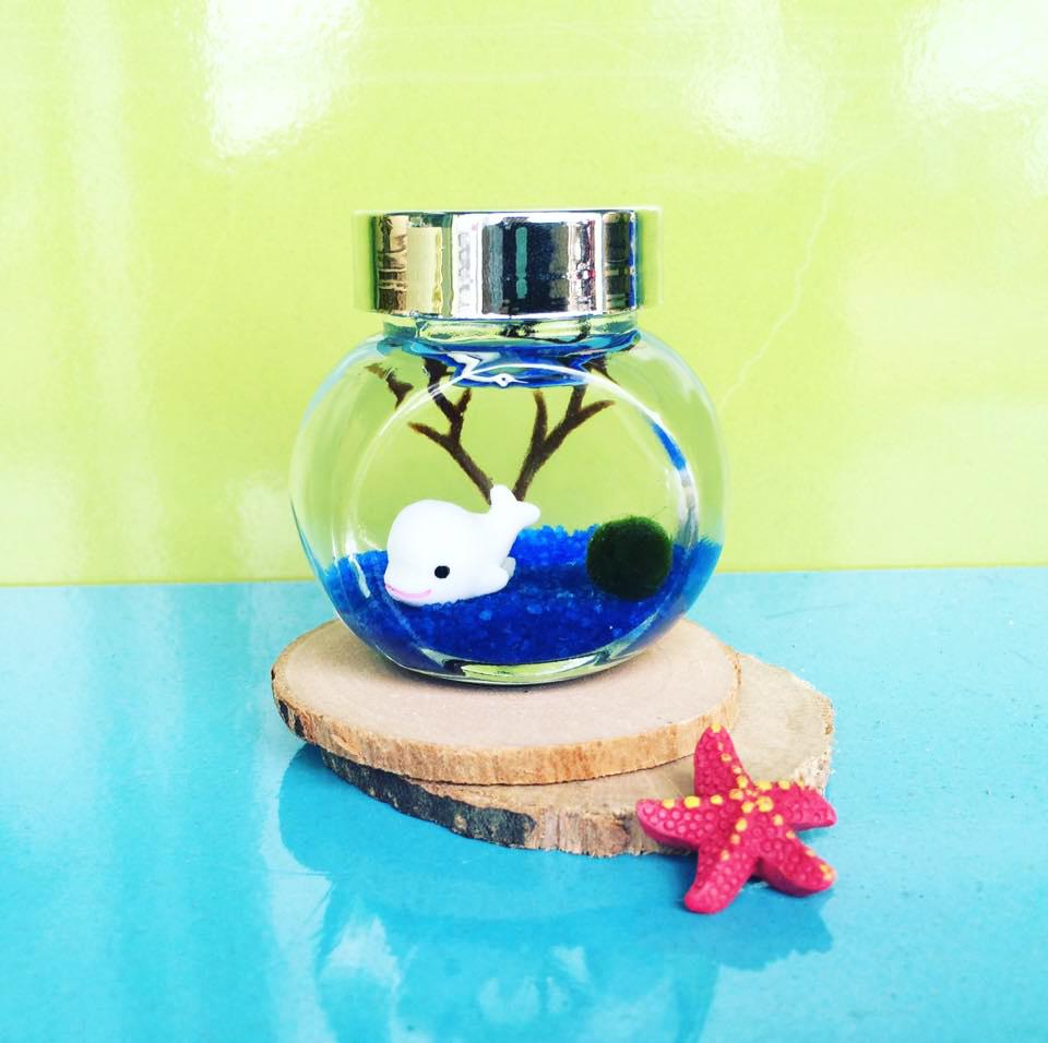 Lọ Marimo, tảo cầu Nhật Bản chủ đề cá voi đơn độc