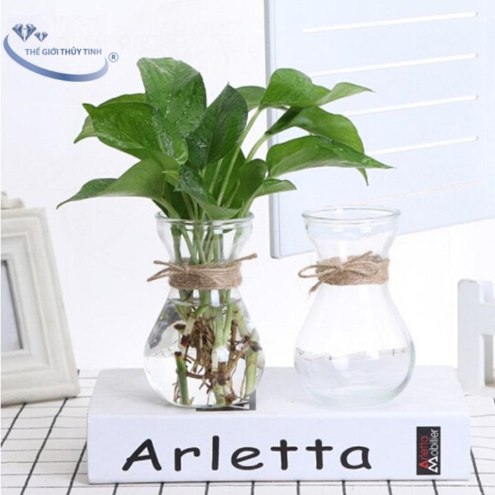 Bình Bông Lọ Hoa Thủy Tinh Miệng Loe