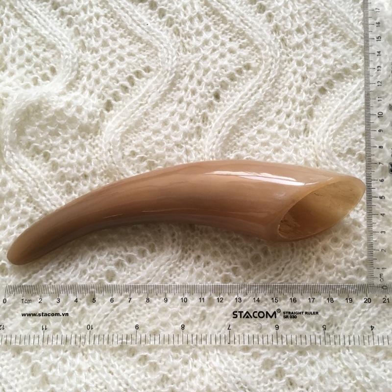 Cây đánh cảm, cạo gió sừng trâu bò tự nhiên màu tự nhiên (CCG03 Phần búp sừng to)
