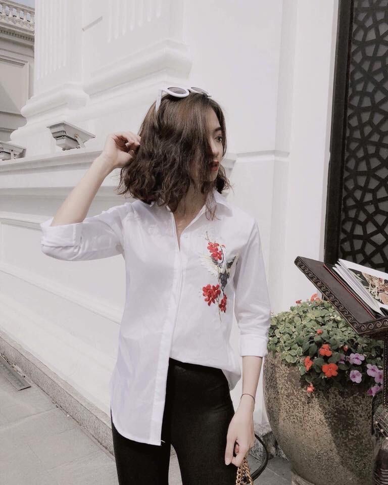Áo sơ mi trắng thuê chim công