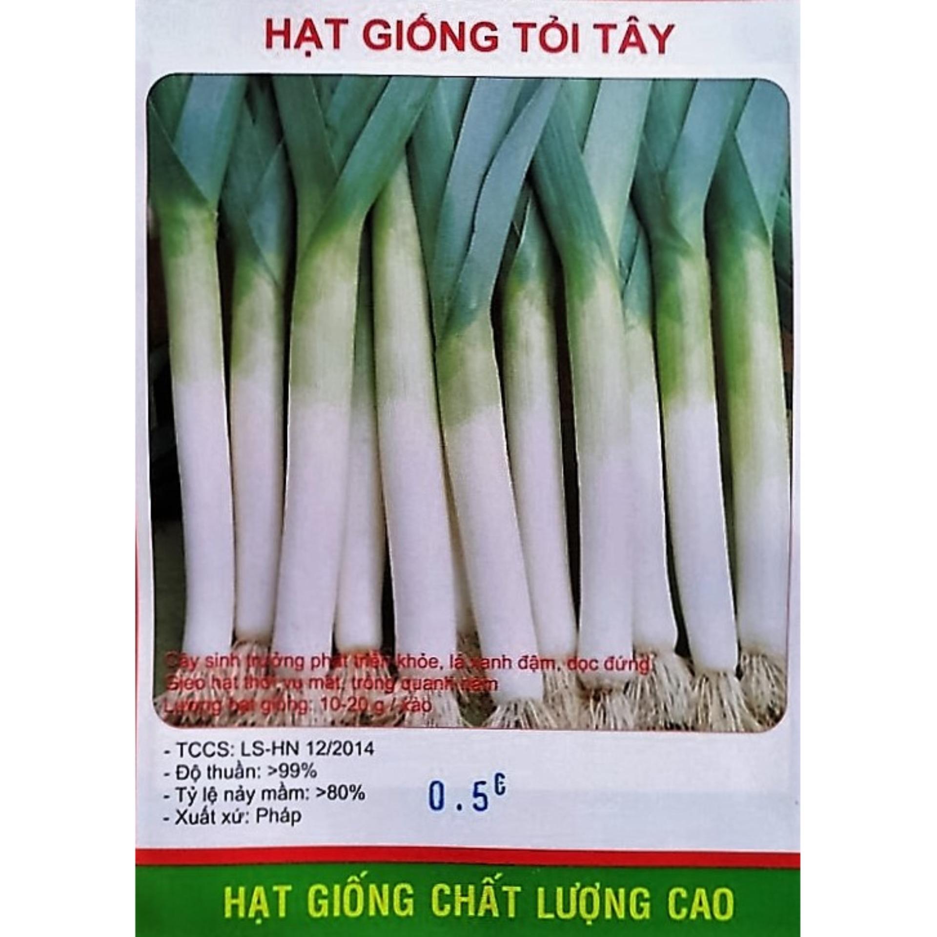 [HCM]Hạt Giống Tỏi Tây Pháp  - KLT 0.5gram