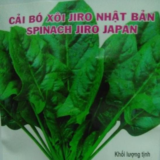 Hạt giống rau Cải bó xôi Jiro Nhật Bản - gói 10gr- 500 hạt - Spinach Jiro Japan