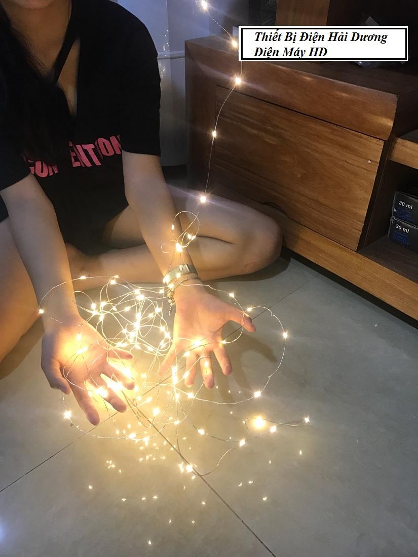 COMBO Đèn Đom Đóm FireFly Light 10M Dùng Pin Tiểu Size AA