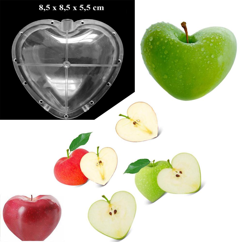 khuôn tạo hình cho trồng trái cây,khuôn giúp cây trái có hình thù đặc sắc