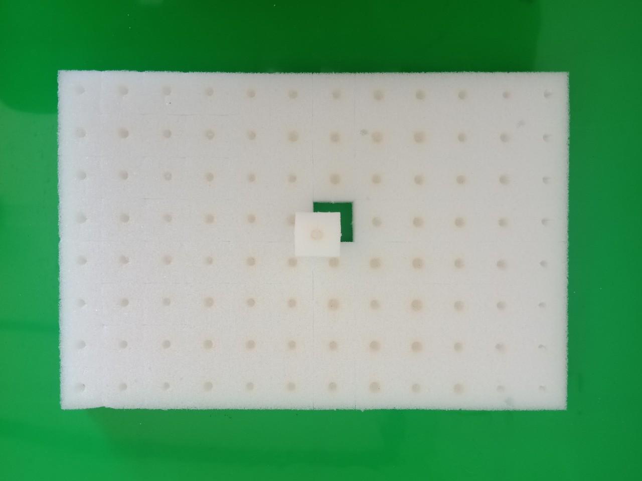 [HOT] Bộ 7 tấm mút xốp ươm hạt cho rọ ống PVC - 400 đơn vị ươm MX56