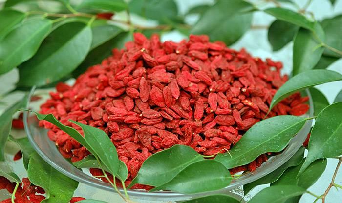Hạt kỉ tử 50g tp