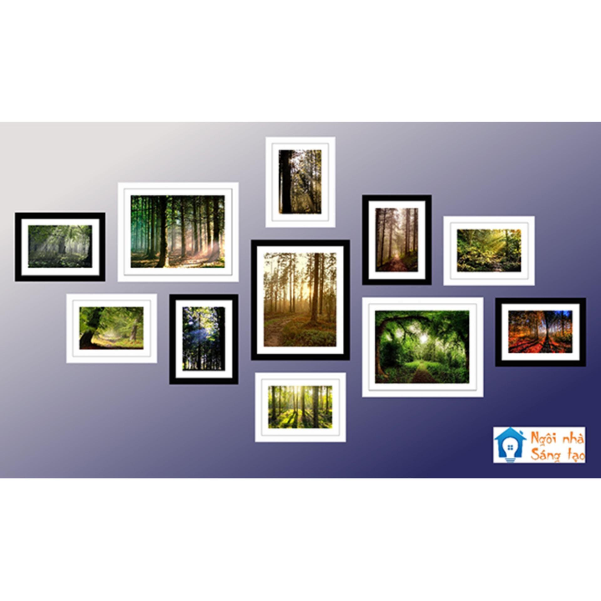 Bộ khung ảnh treo tường Forest - Có sẵn hình