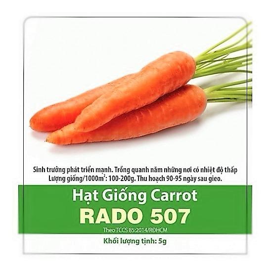 [HCM]HẠT GIỐNG CỦ CÀ RỐT RADO 507_5g