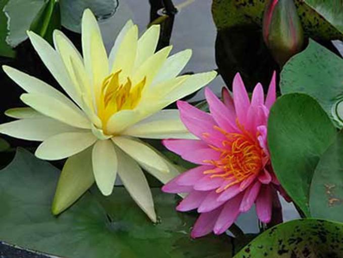 201105083146_eweg.jpg