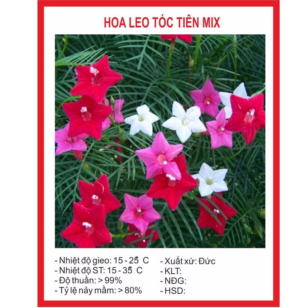 Hạt giống hoa leo tóc tiên mix