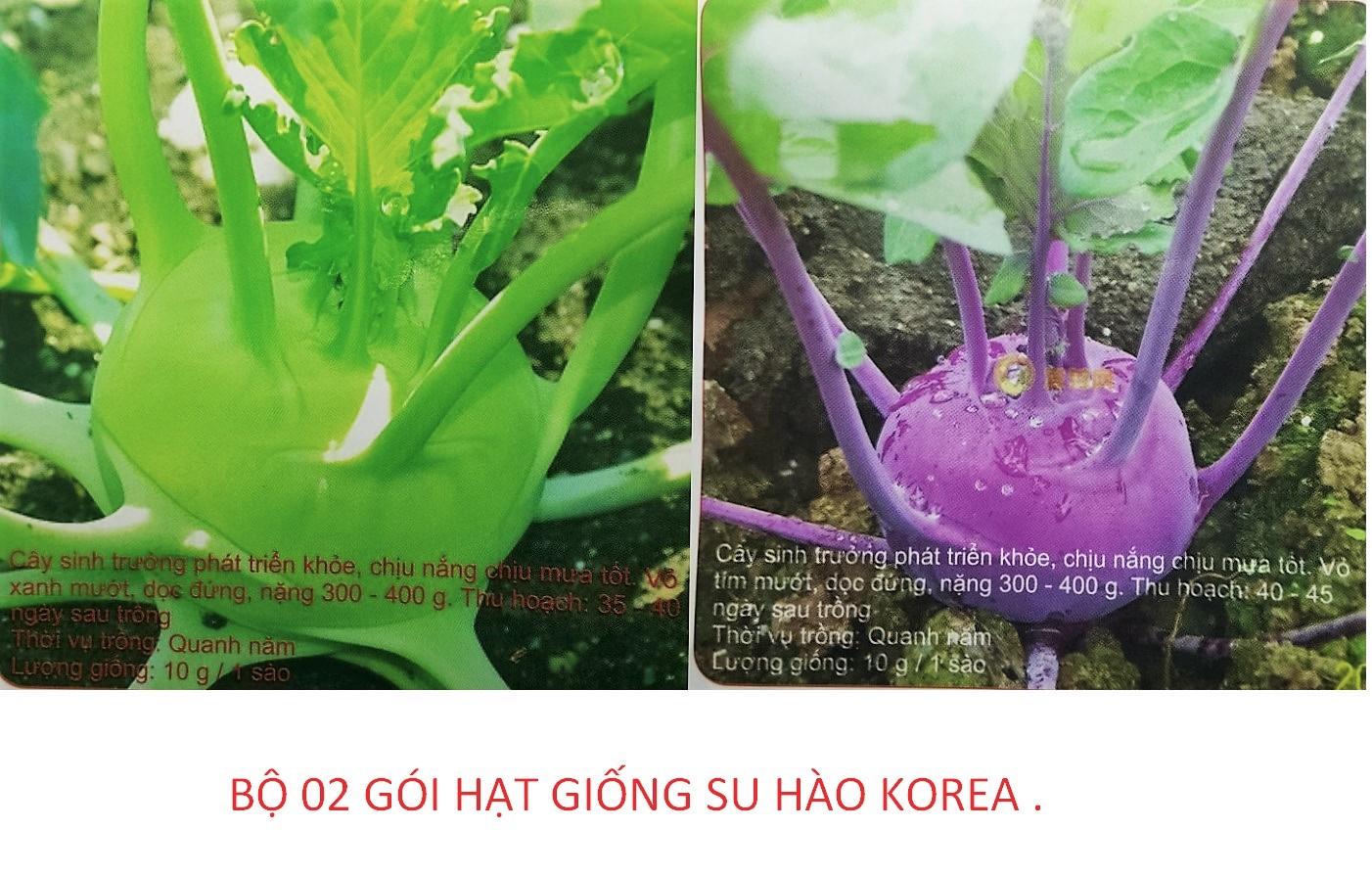 [HCM]Combo 02 Gói Hạt Giống Su Hào Korea  Tím -Xanh _KLT 30 hạt /gói .