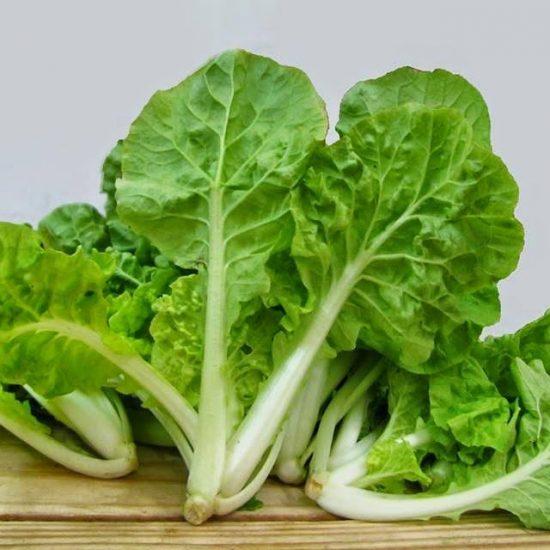 2 gói hạt giống cải bẹ dún