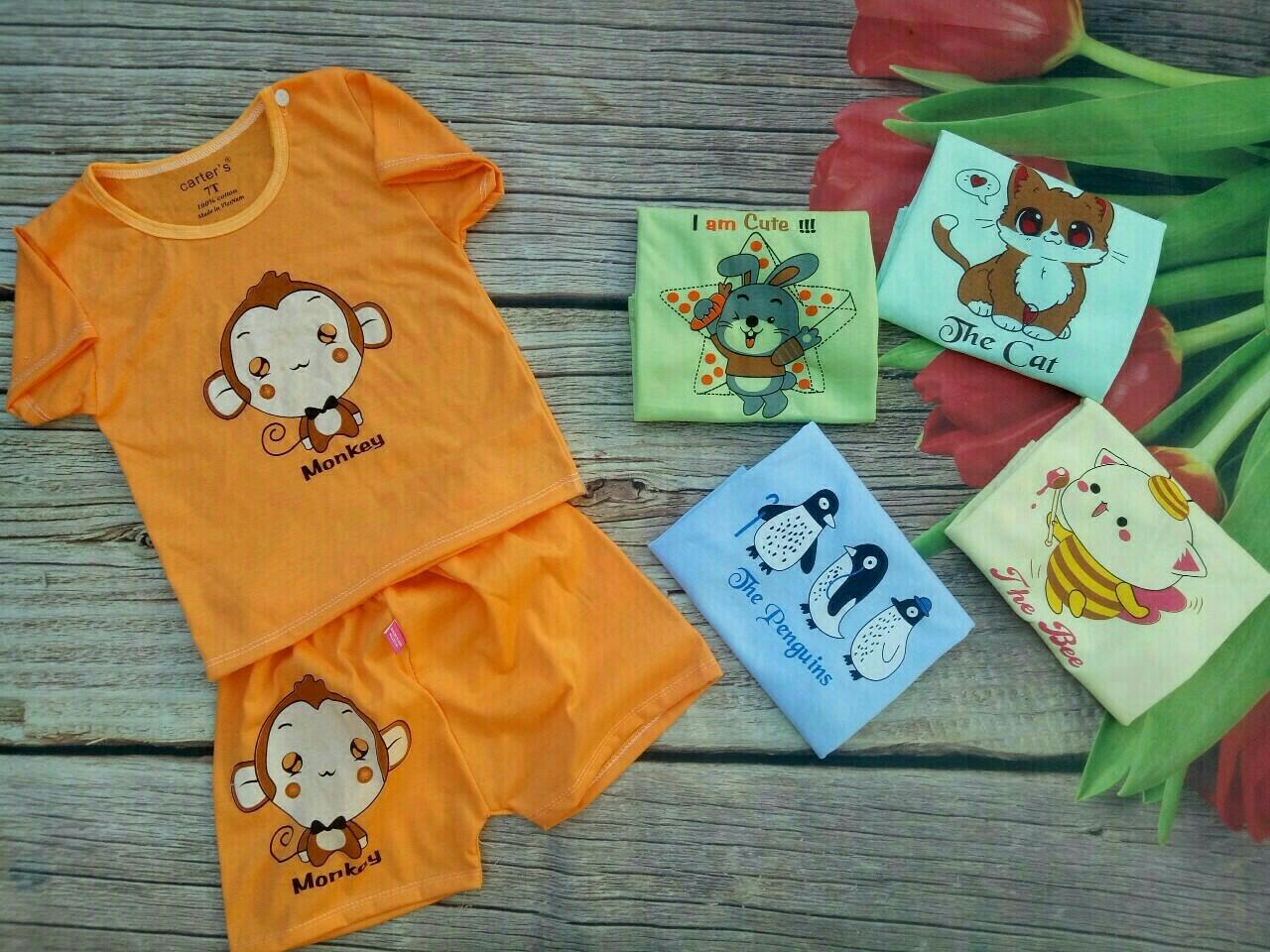 Set 5 bộ cộc tay size đại bé trai/gái 14-23kg