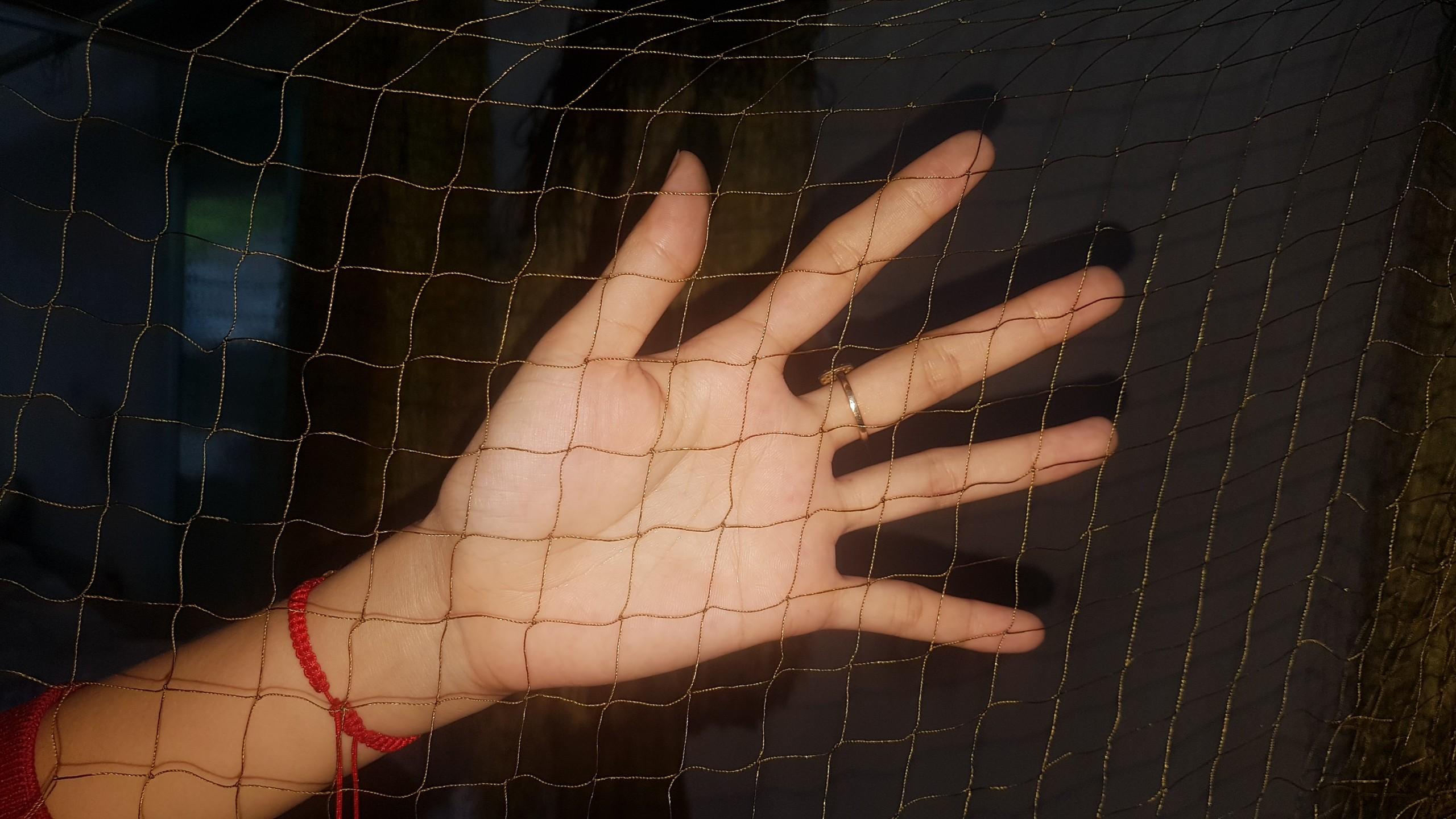 50 mét lưới bẫy rắn từ 500g tới 2kg mắt lỗ 4 phân đã nhuộm màu tàng hình và làm ngon lành về chỉ sử dụng