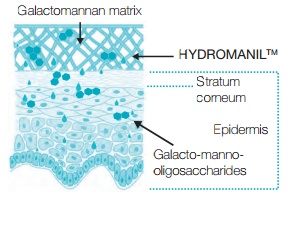 hydromaniltm