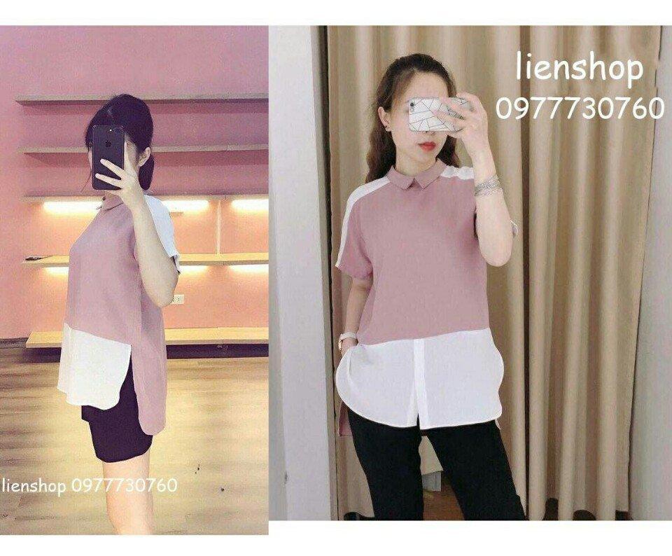Áo thun kim tuyến lai bầu pha kate