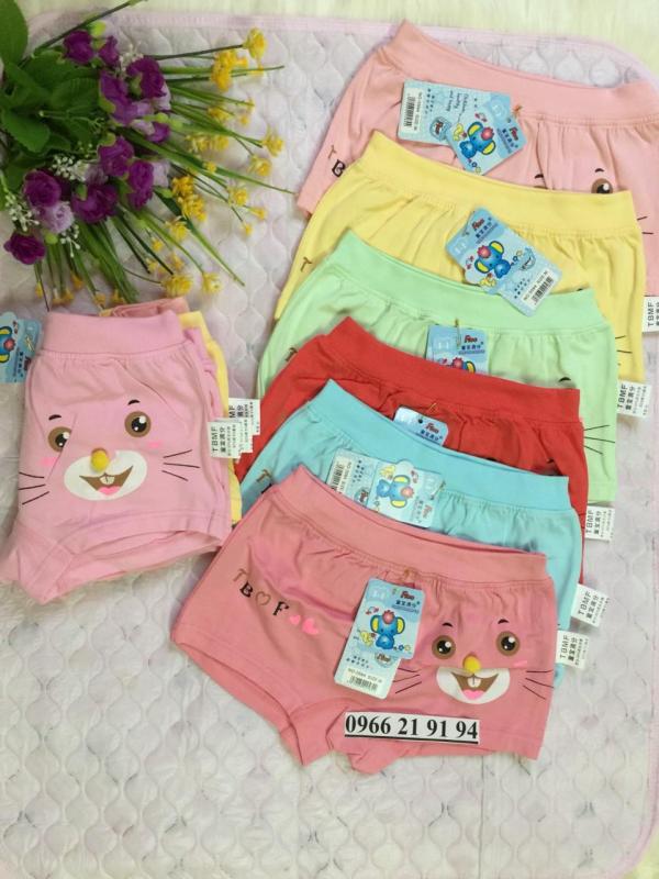 Nơi bán Combo 04 Quần chíp đùi in hình mèo bé gái 2-10 tuổi