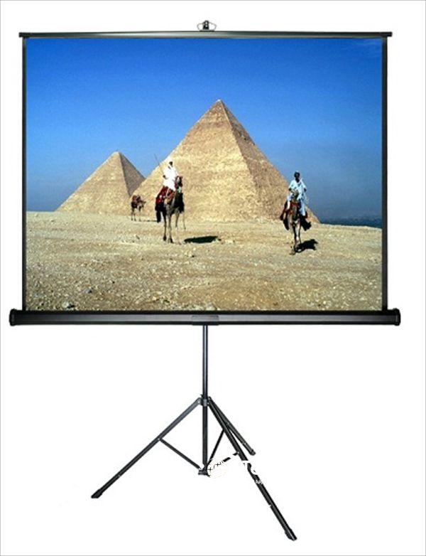 [HCM]Màn chiếu 3 chân di động APOLLO/DALITE 100 inch