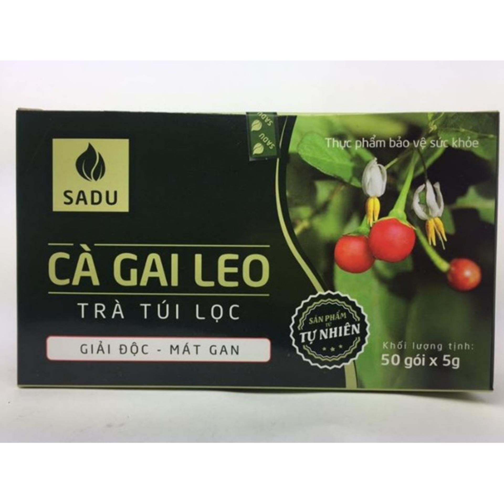 Trà túi lọc cà gai leo - Sản phẩm 100% tự nhiên  (Hộp 250g)