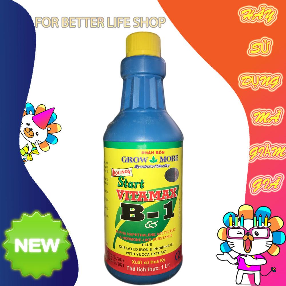 Chai vitamin b1 cty growmore