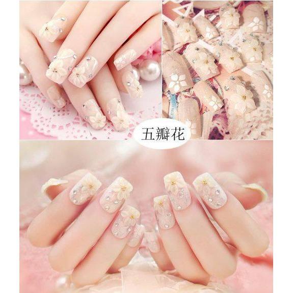 Bộ 24 Móng tay giả , nail giả , móng giả ( kèm keo dán )