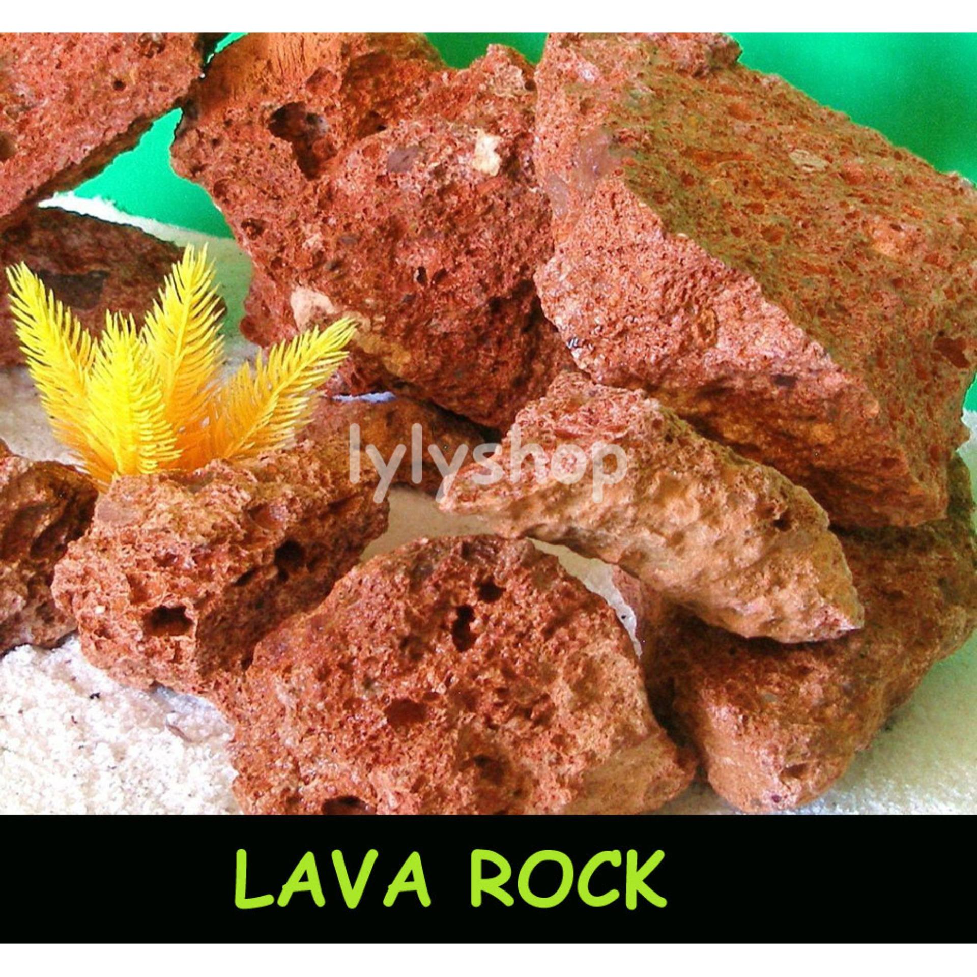Đá nham thạch cho bể cá 1.2KG cao cấp, vật liệu lọc nước hồ thủy sinh, trang trí bể cá cảnh, trồng lan