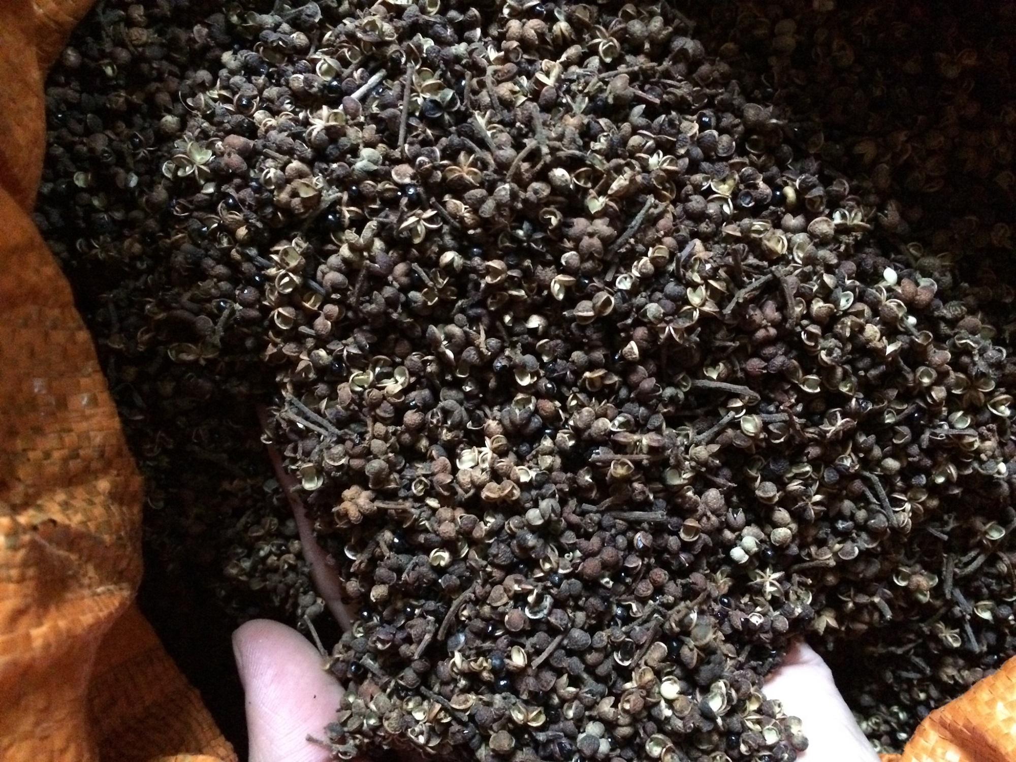 Mắc khén rừng Tây bắc 100g khô