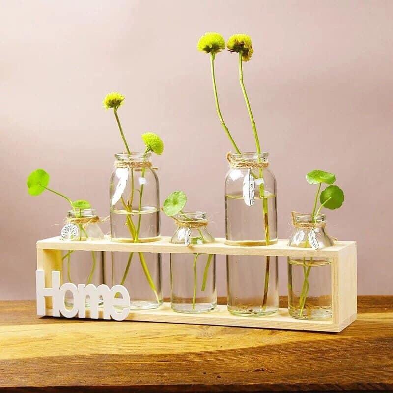 Set 5 lọ thủy tinh cắm hoa kèm kệ gỗ sang trọng
