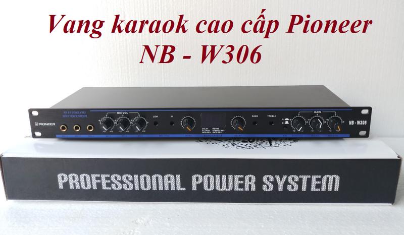 Vang karaoke cao cấp pioneer nb-w306