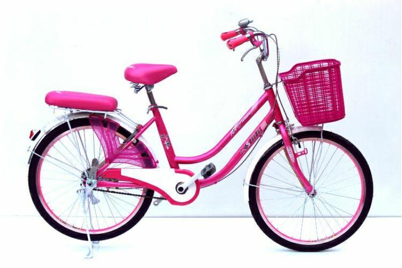Mua Xe đạp thời trang MN 24-01 ( màu hồng )