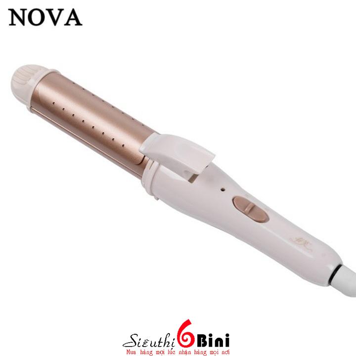 Cây uốn tóc Nova - Lọn to