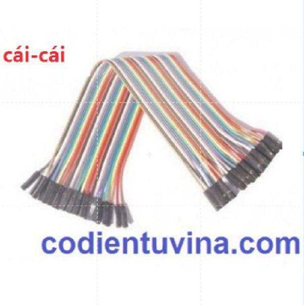 Dây cắm test board 20cm cái-cái