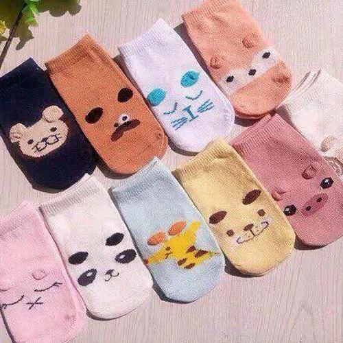Combo 05 tất poni kid phong cách hàn quốc cho bé giá rẻ