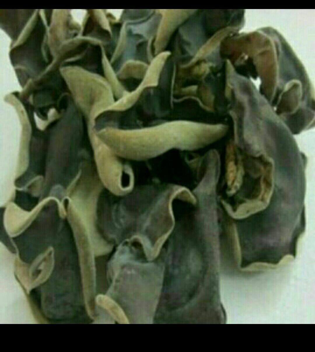 Nấm mèo - mộc nhĩ 1kg