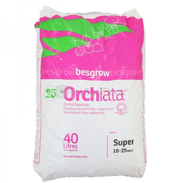 3kg vỏ thông Orchiata newzealand size 18-25mm