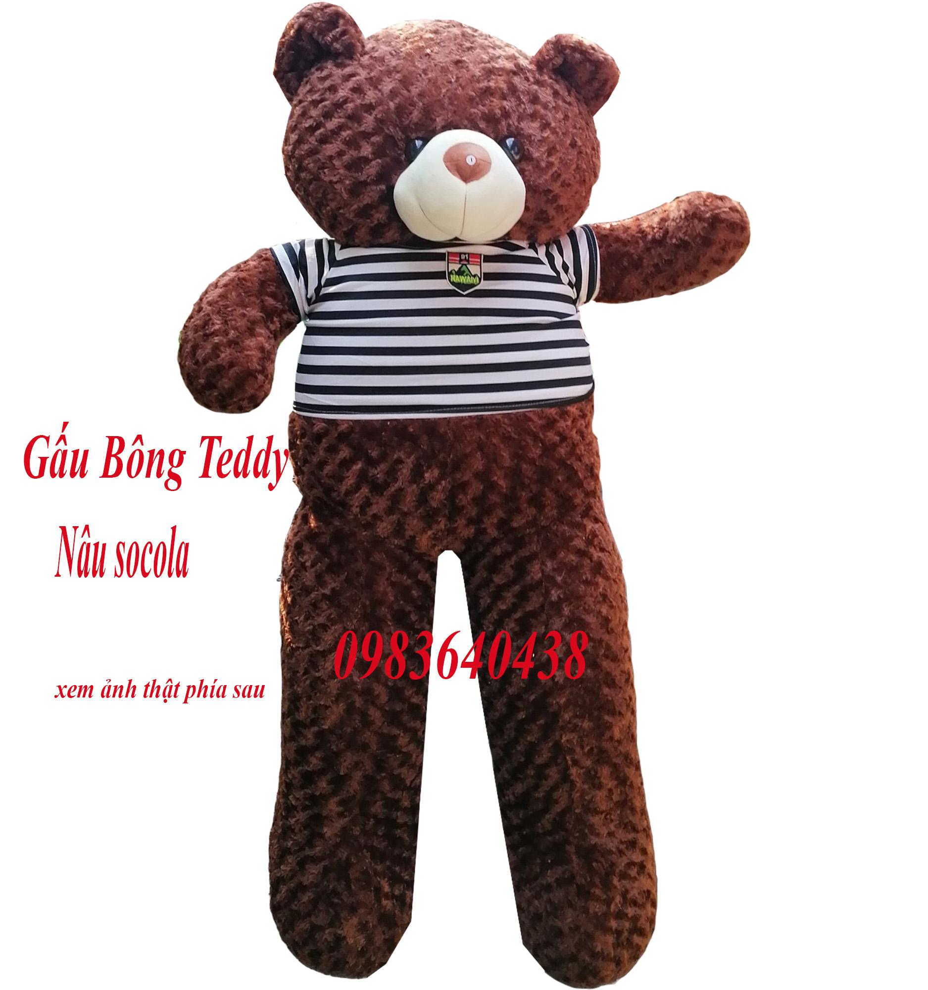 Gấu Bông teddy khổ vải 1m8 cao 1m6 màu nâu socola hàng cao cấp
