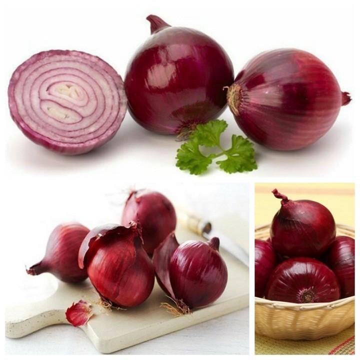 Gói 2 gram hạt giống hành tây tím F1 cao sản chất lượng cao