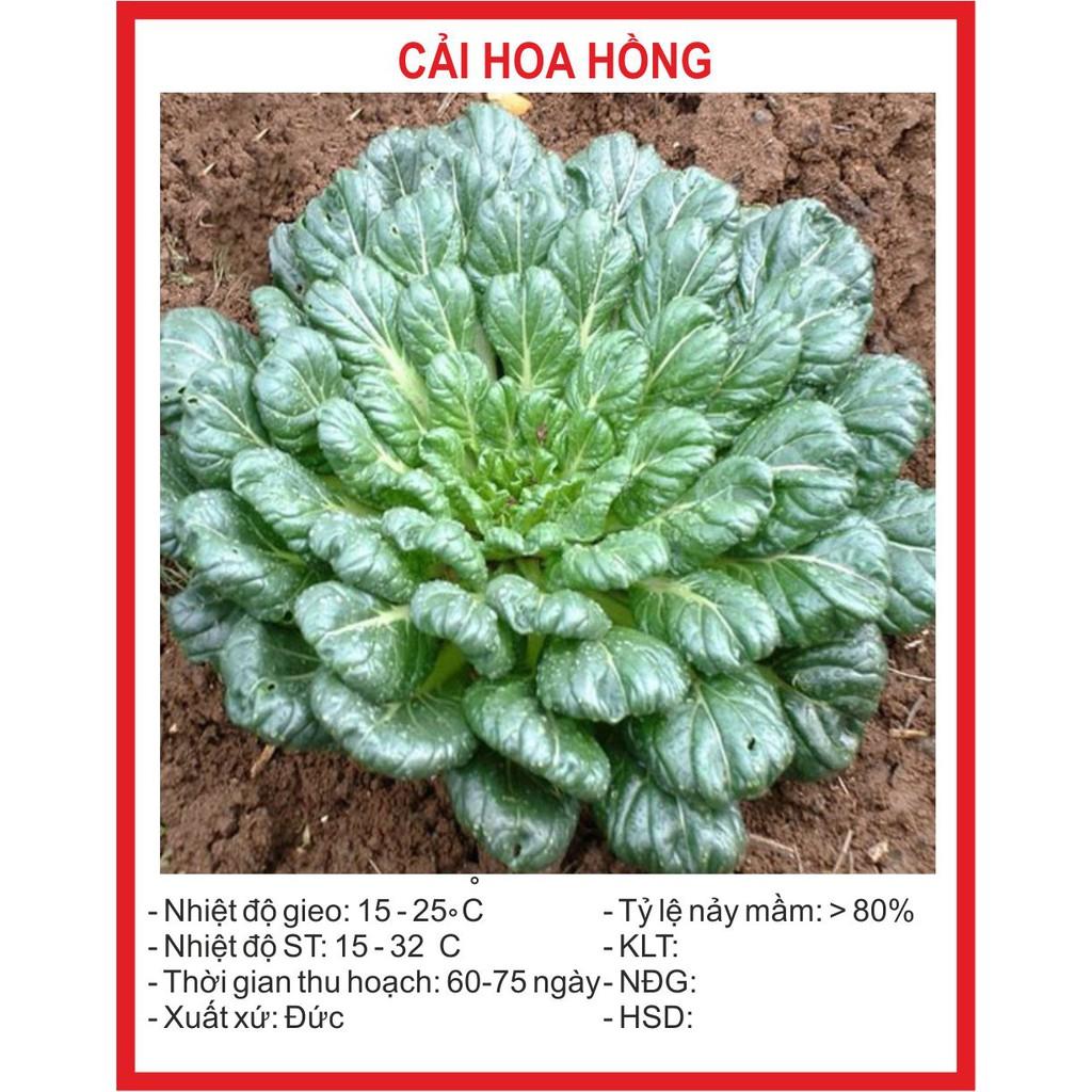 [Lấy mã giảm thêm 30%] Hạt giống Cải Hoa Hồng (1g)