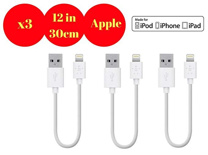 Cáp sạc Lightning cho iphone 6/6S 30cm