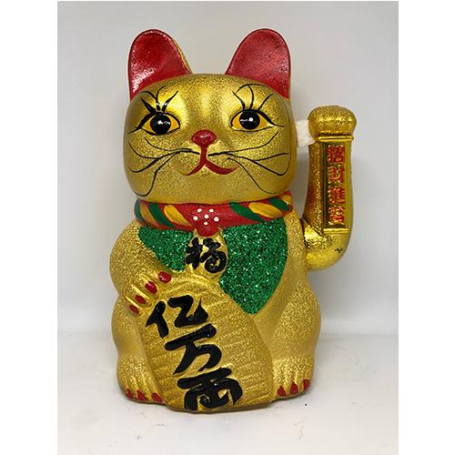 Mèo kim sa dùng pin pt0069