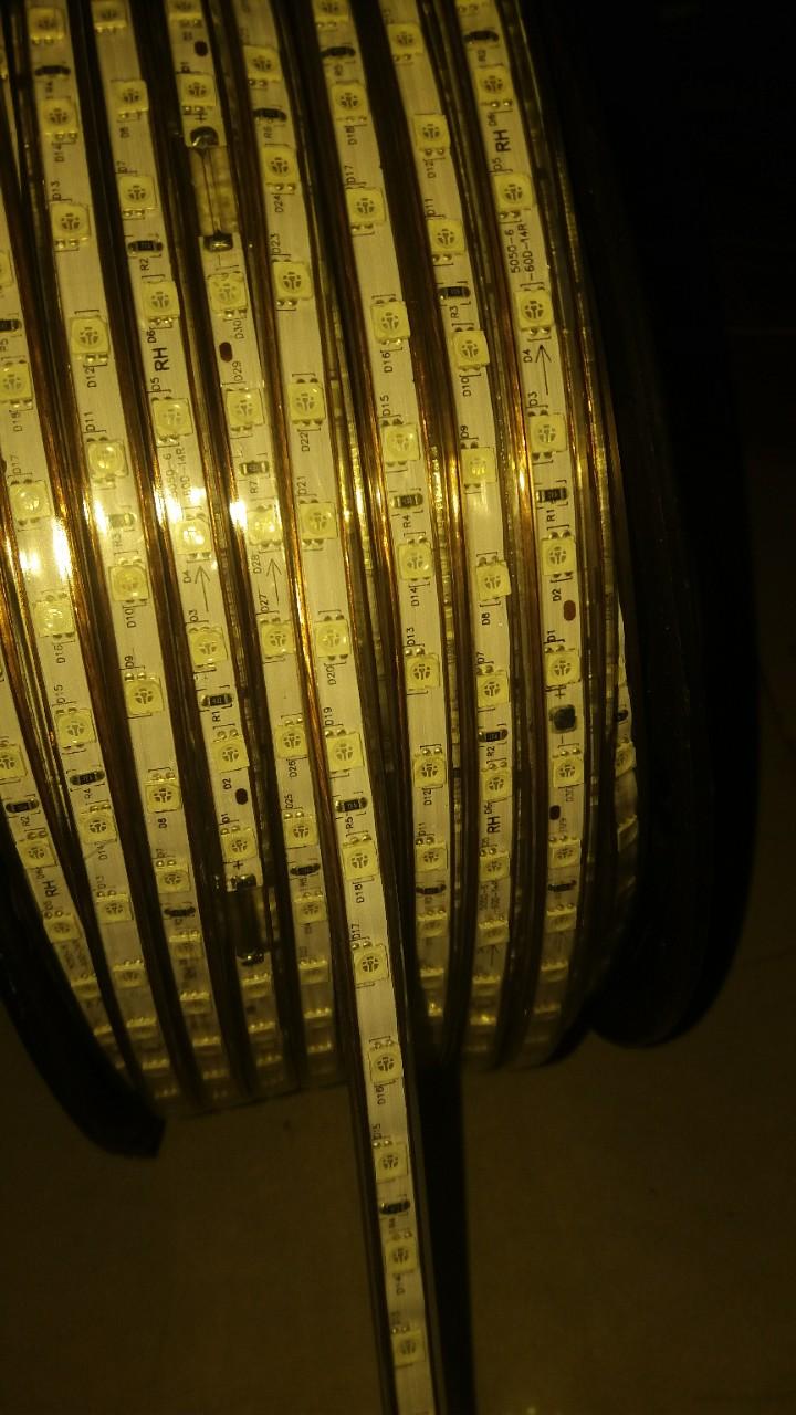 Bộ 15 mét đèn led dây 5050/220v màu xanh lá