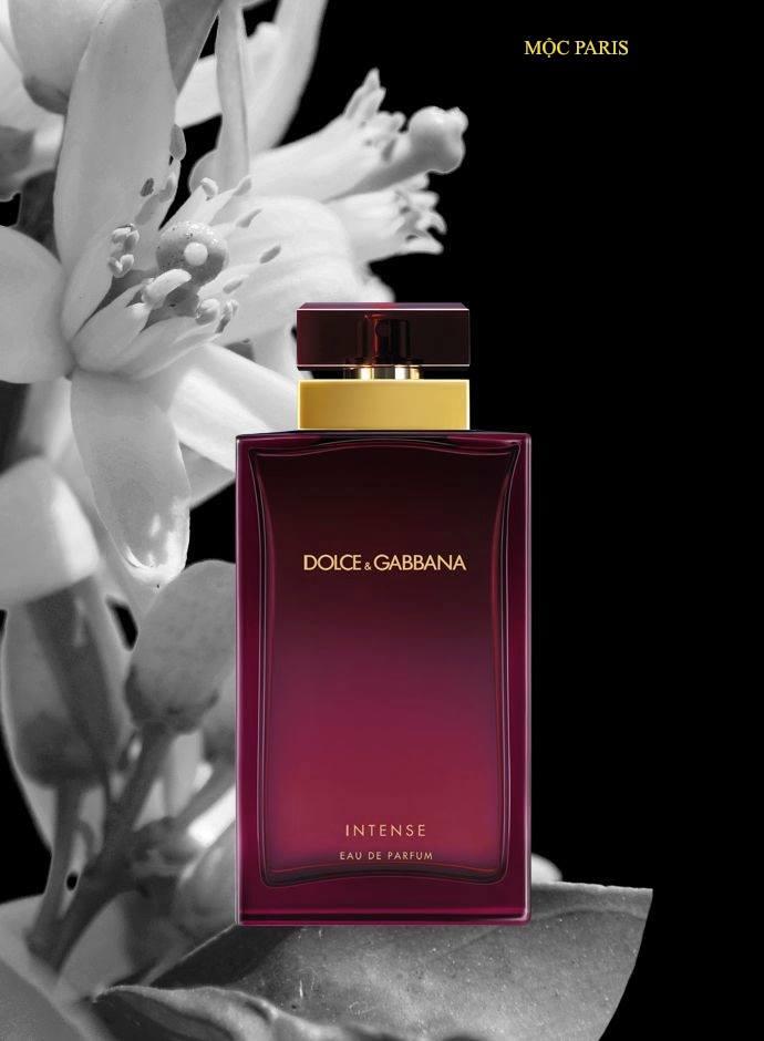 Nước hoa Dolce & Gabbana