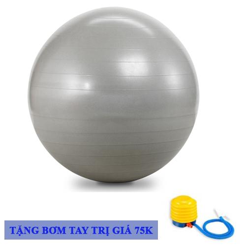 Bóng tập yoga Gymball cao cấp da trơn 65cm - Đại Nam Sport